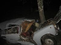 ДТП Калинівка. ВАЗ 21011 врізався в дерево 
