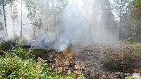 Настає сезон пожеж на Васильківщині!